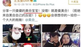 明星黑料大曝光 社会热点话题事件2025,社会热点事件背后的真相与反思